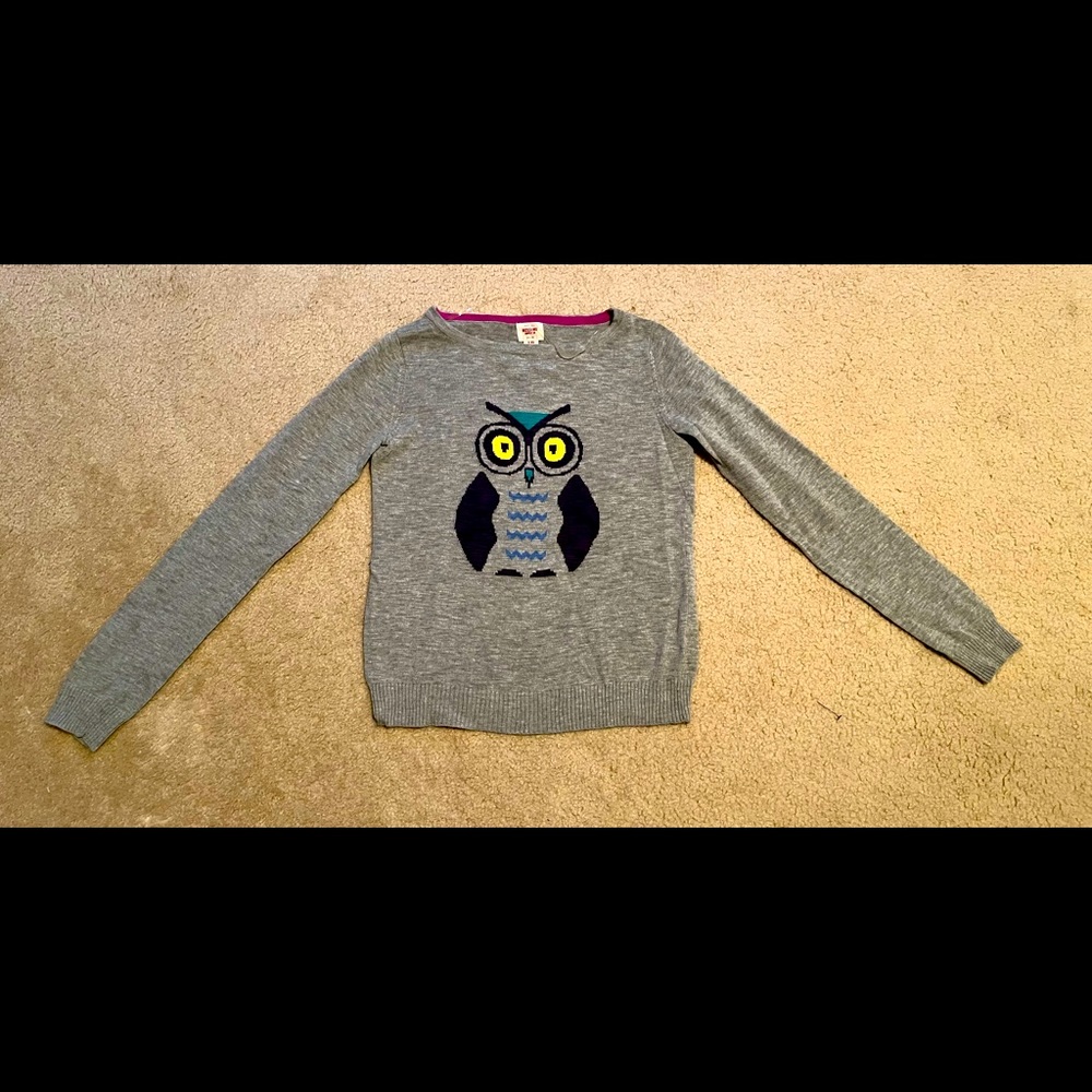 Mossimo Target Owl Fall Sweater XS